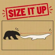 Play Size it Up Game